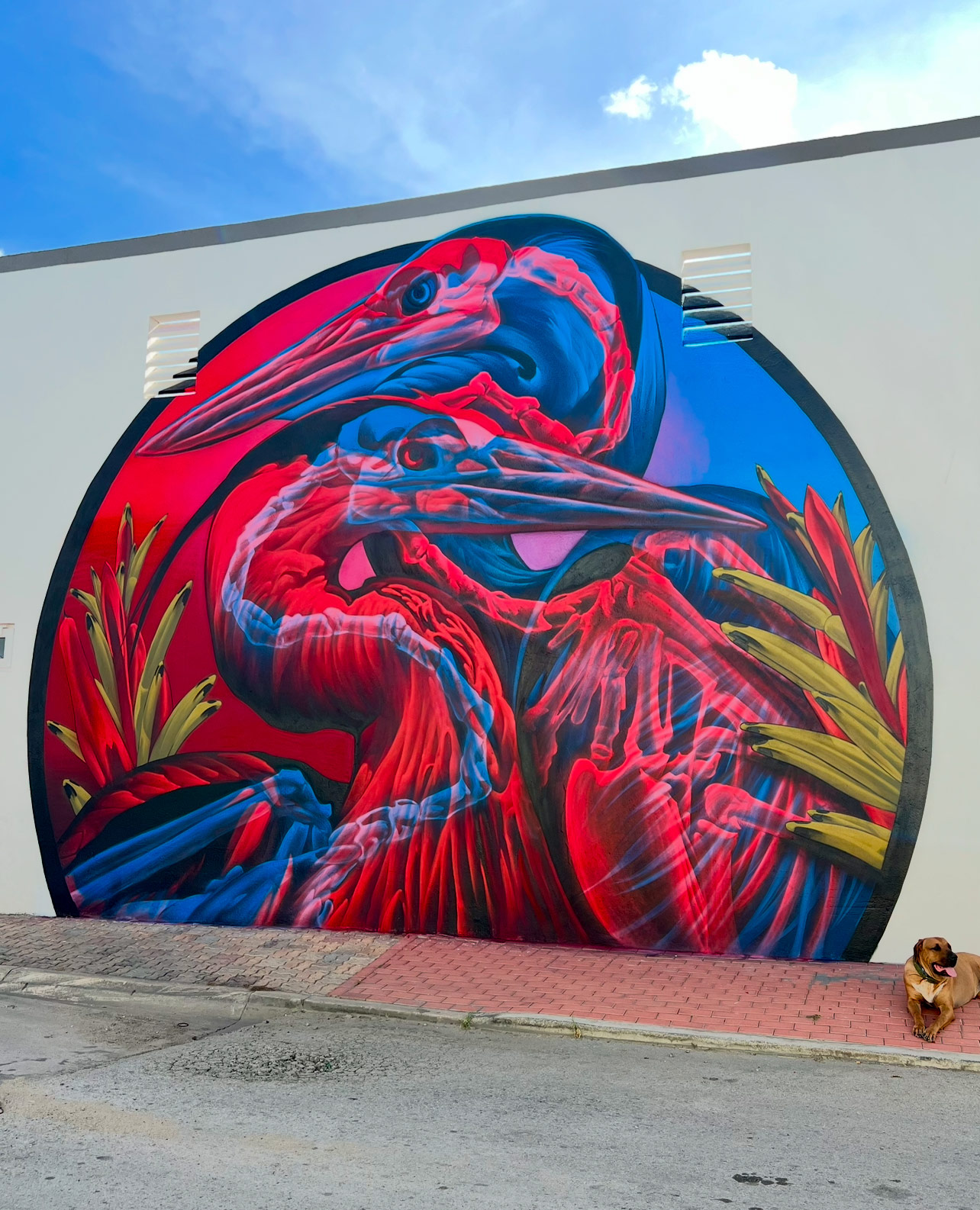 BLACK Artist Edition INSANE 51 BLACK Artist Edition INSANE 51